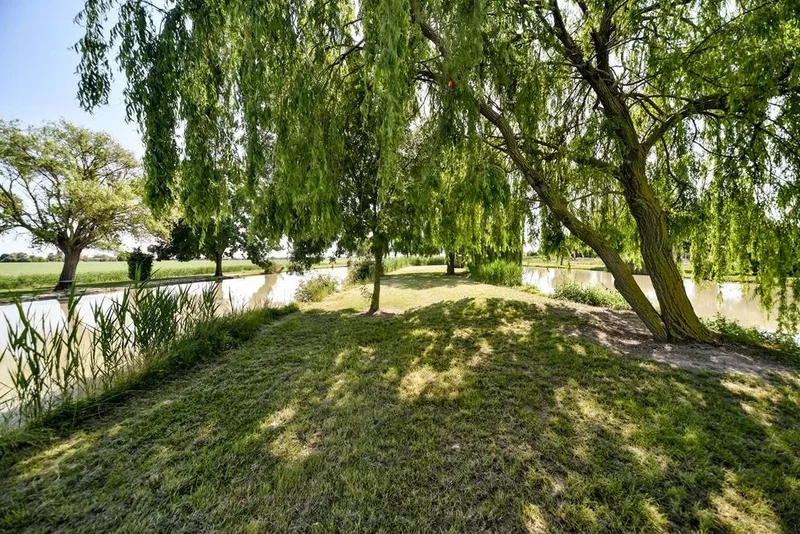 30021 Caorle, Metropolitan City of Venice, Italy, Caorle, Veneto, Italy. - Photo 19