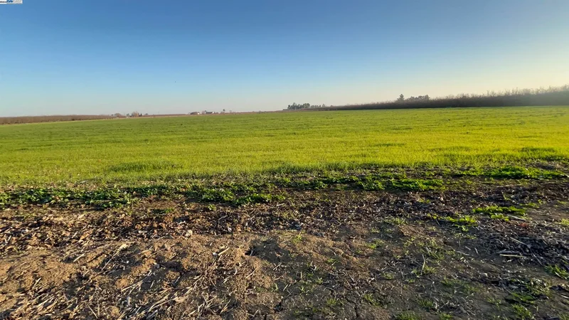 1290 Orange Ave, Patterson, California, United States. - Photo 33