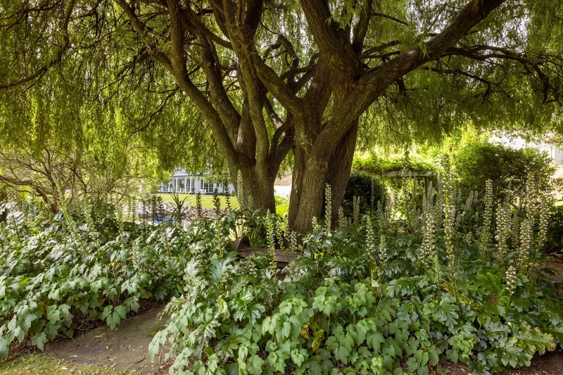 14 Grasmere Way, Bethlehem, Tauranga 3110, New Zealand, Tauranga, Bay of Plenty, New Zealand. - Photo 12