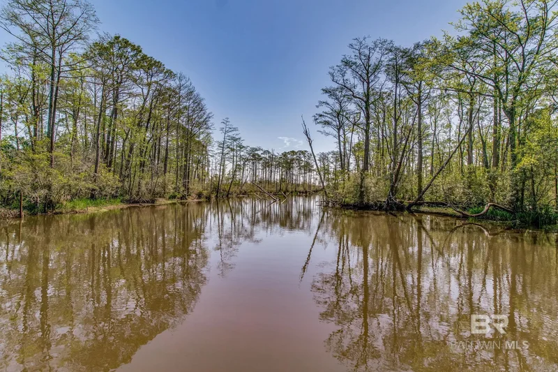 11080 County Road 99, Lillian, AL 36549, Lillian, Alabama, United States. - Photo 62