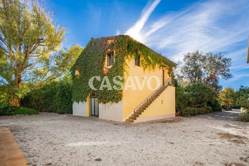 57022 Castagneto Carducci, Province of Livorno, Italy, Castagneto Carducci, Italy. - Photo 69