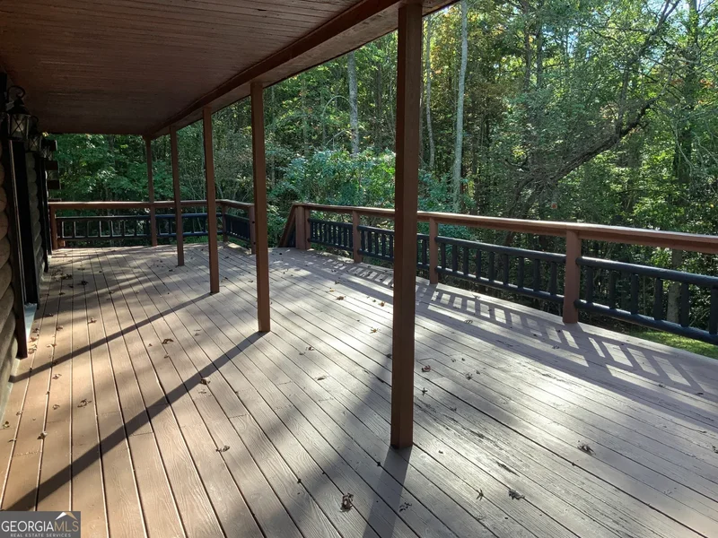 Blairsville, Georgia, United States. - Photo 43
