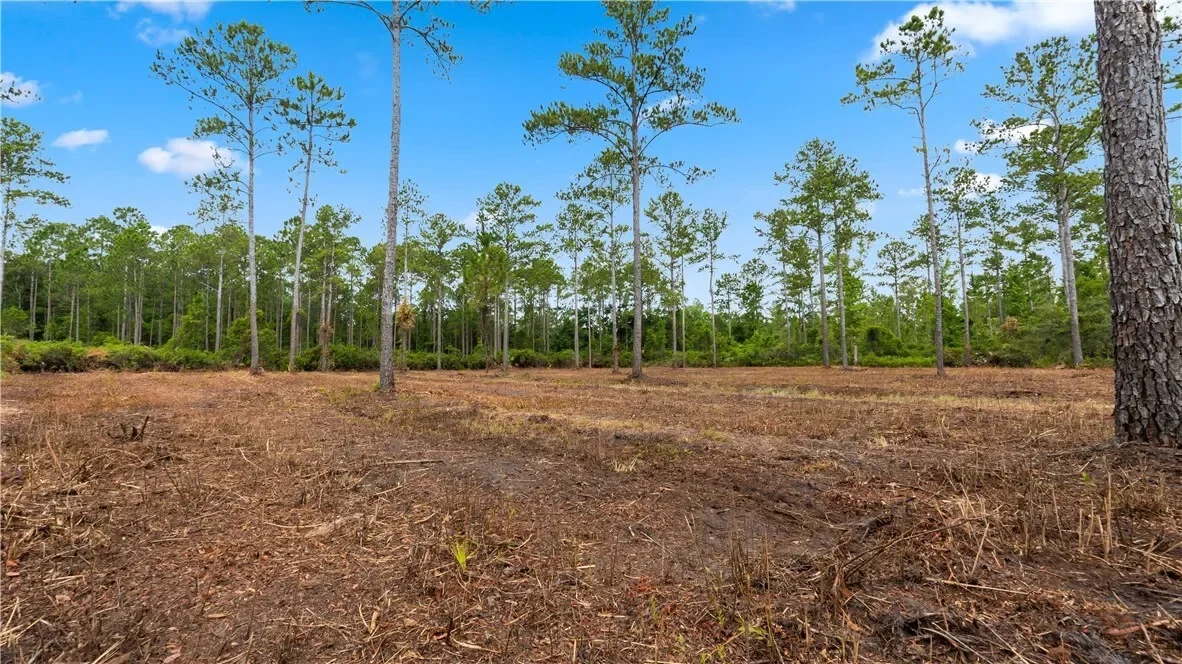 1 Coastal Estates Drive, Brunswick, GA 31525, Brunswick, Georgia, United States. - Photo 14