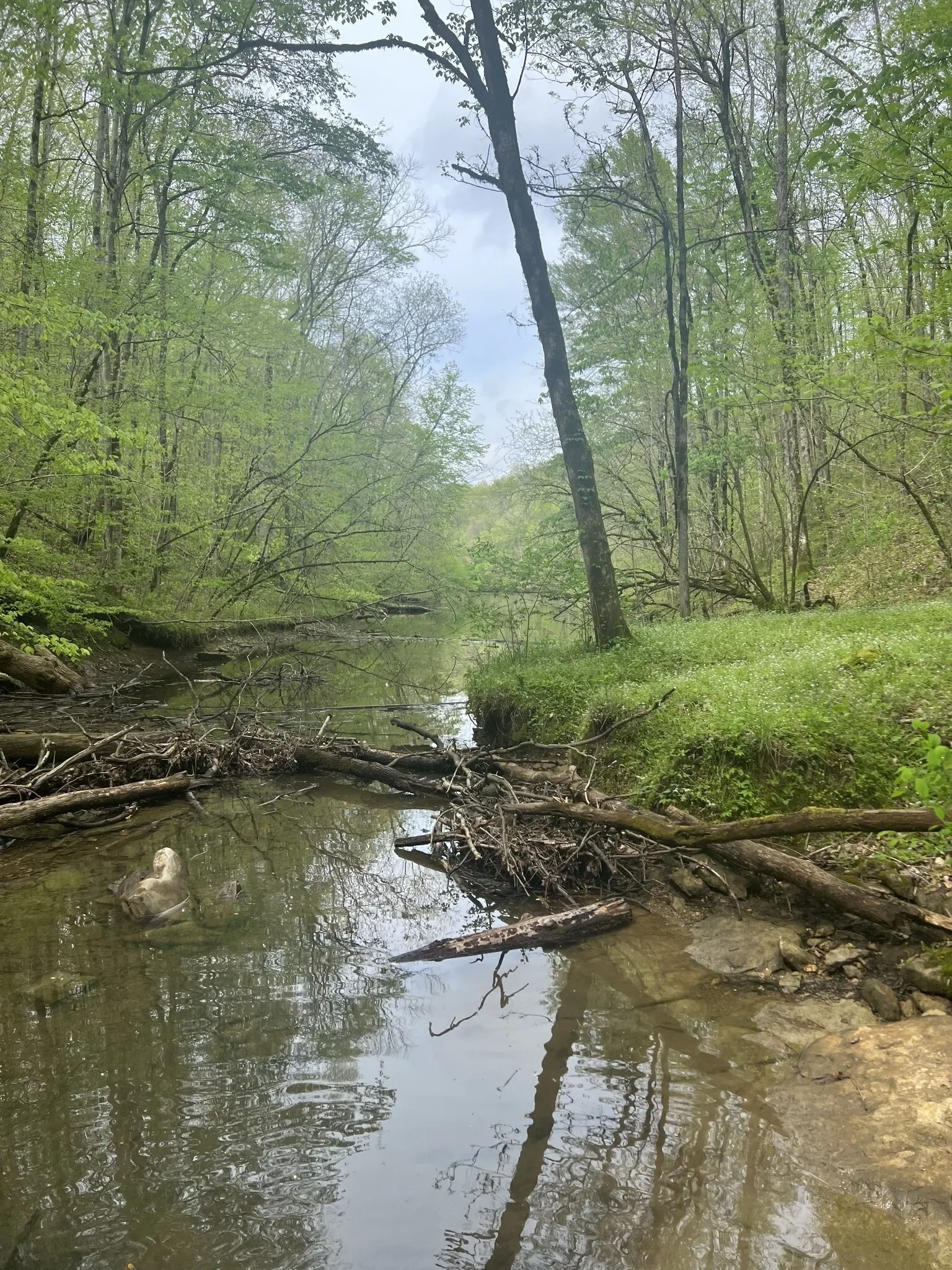 0 Huff Hollow Rd , Granville, TN 38564, Granville, Tennessee, United States. - Photo 24