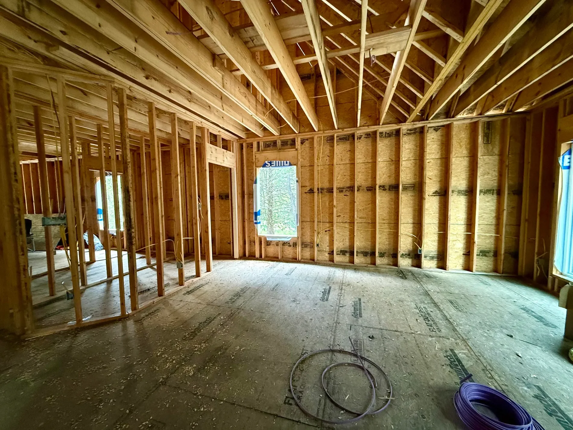 Gallery photo 12