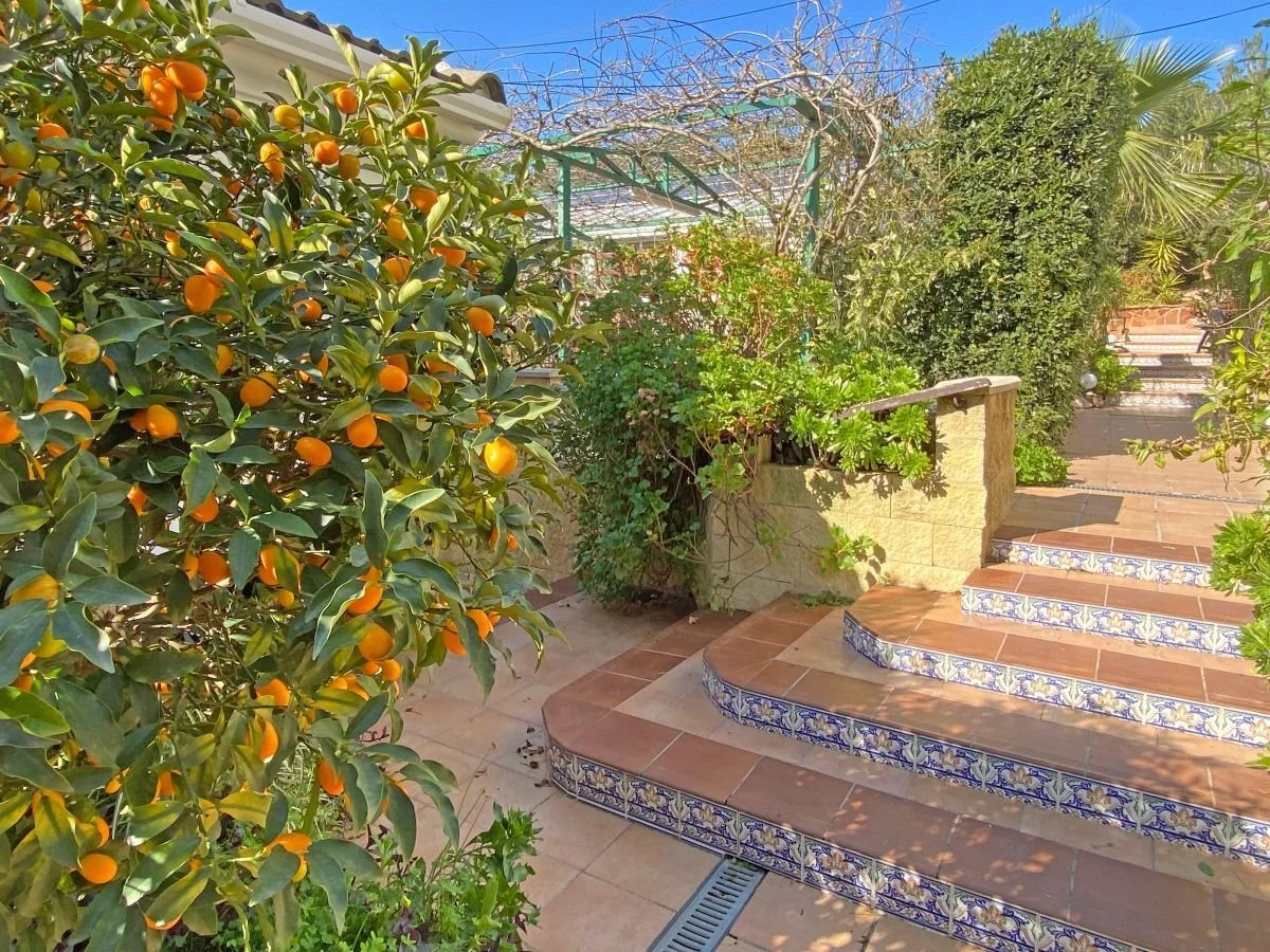 Benigánim, Valencia, Benigánim, Beniganim, Valencian Community, Spain. - Photo 13