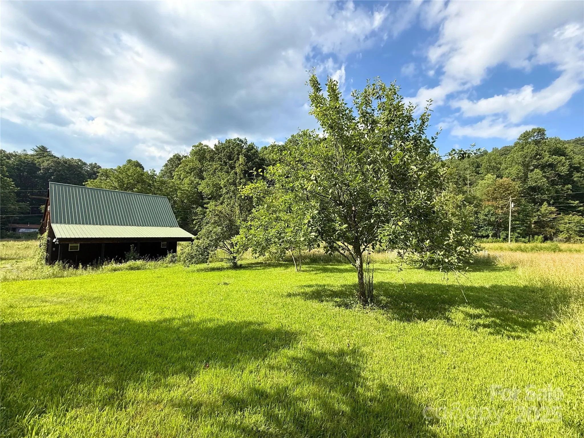 226 Wildcat Mountain Trail, Sylva, NC 28779, Sylva, North Carolina, United States. - Photo 34