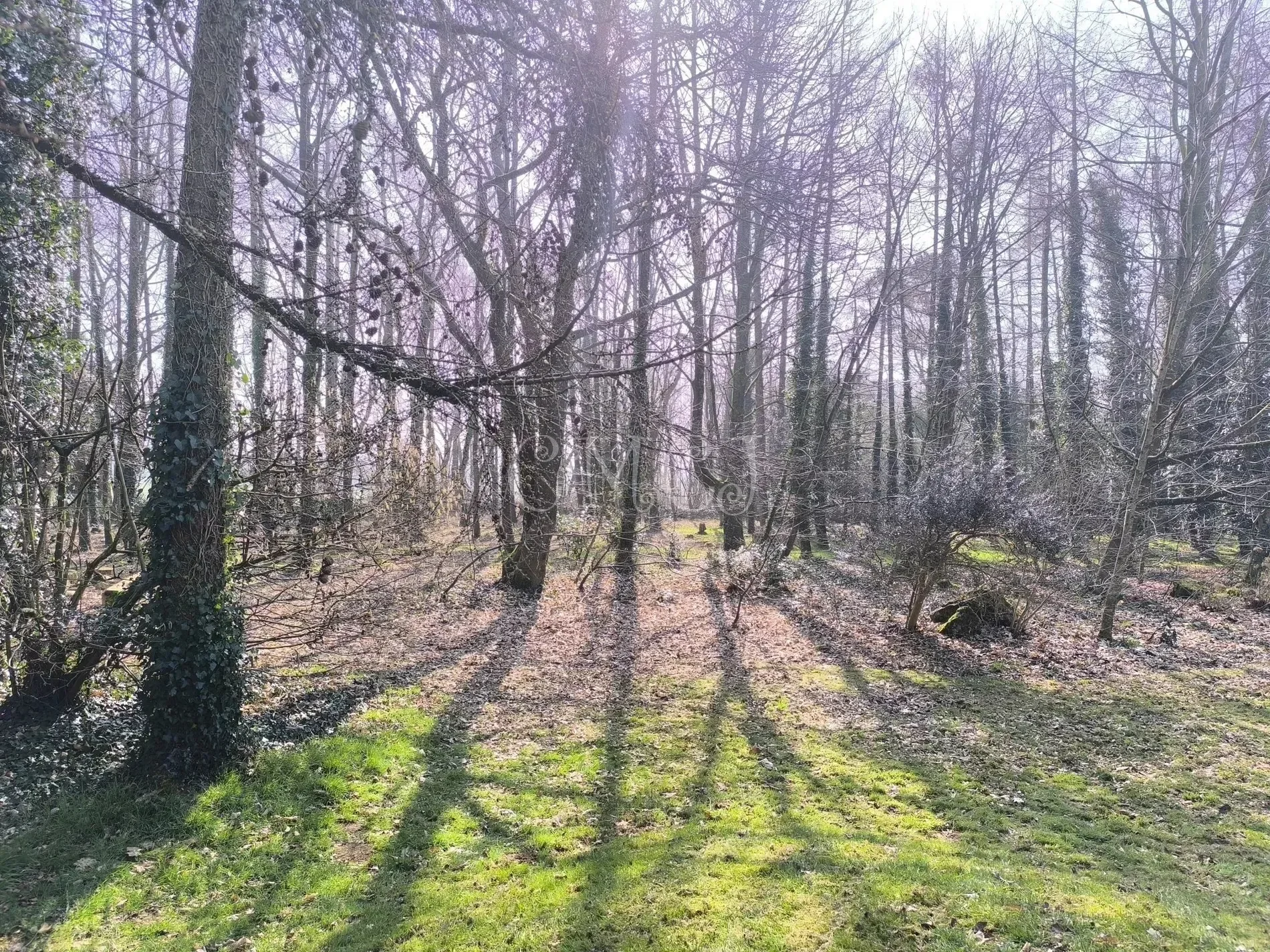 Gallery photo 10