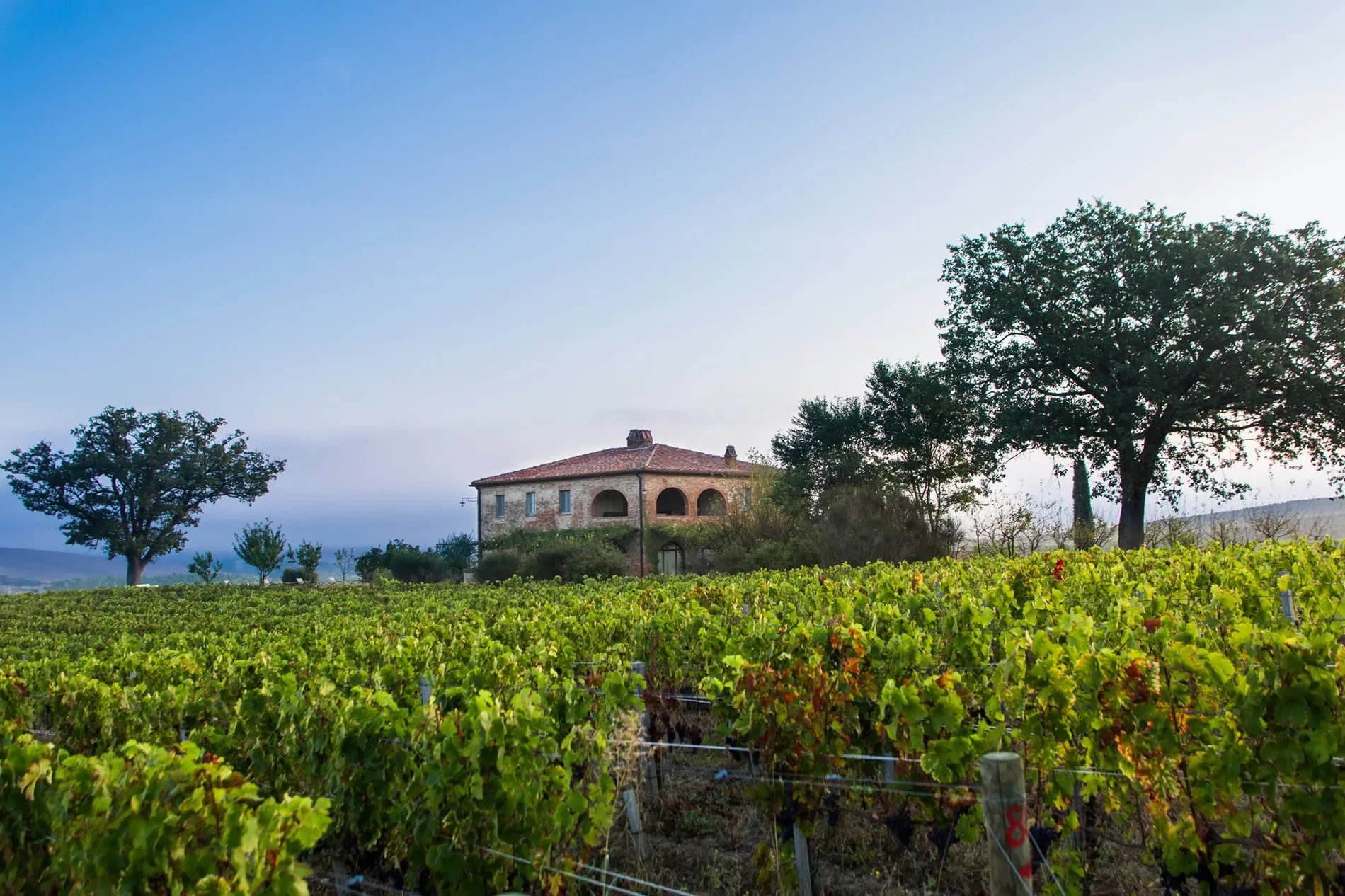 53024 Montalcino, Province of Siena, Italy, Castelnuovo dell’Abate, Tuscany, Italy. - Photo 81