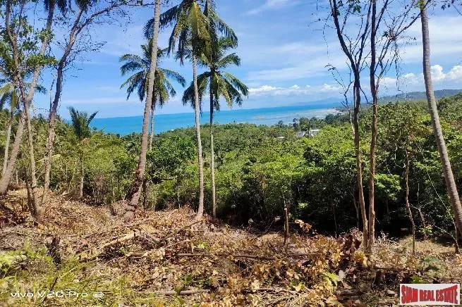 Surat Thani,, Koh Samui, Surat Thani, Thailand. - Photo 5