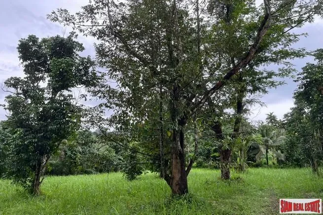 Phang Nga,, Thai Mueang, Phang-nga, Thailand. - Photo 12