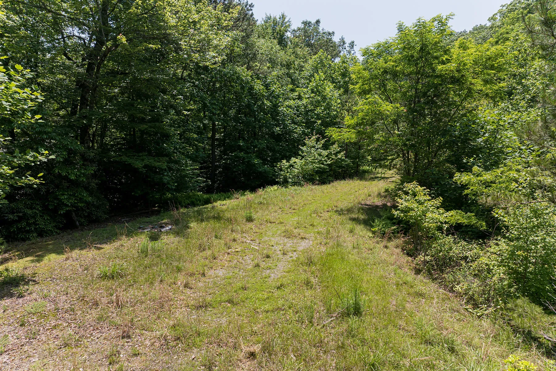 1000 Sutton Creek Road, Pisgah Forest, NC 28768, Mills River, North Carolina, United States. - Photo 18