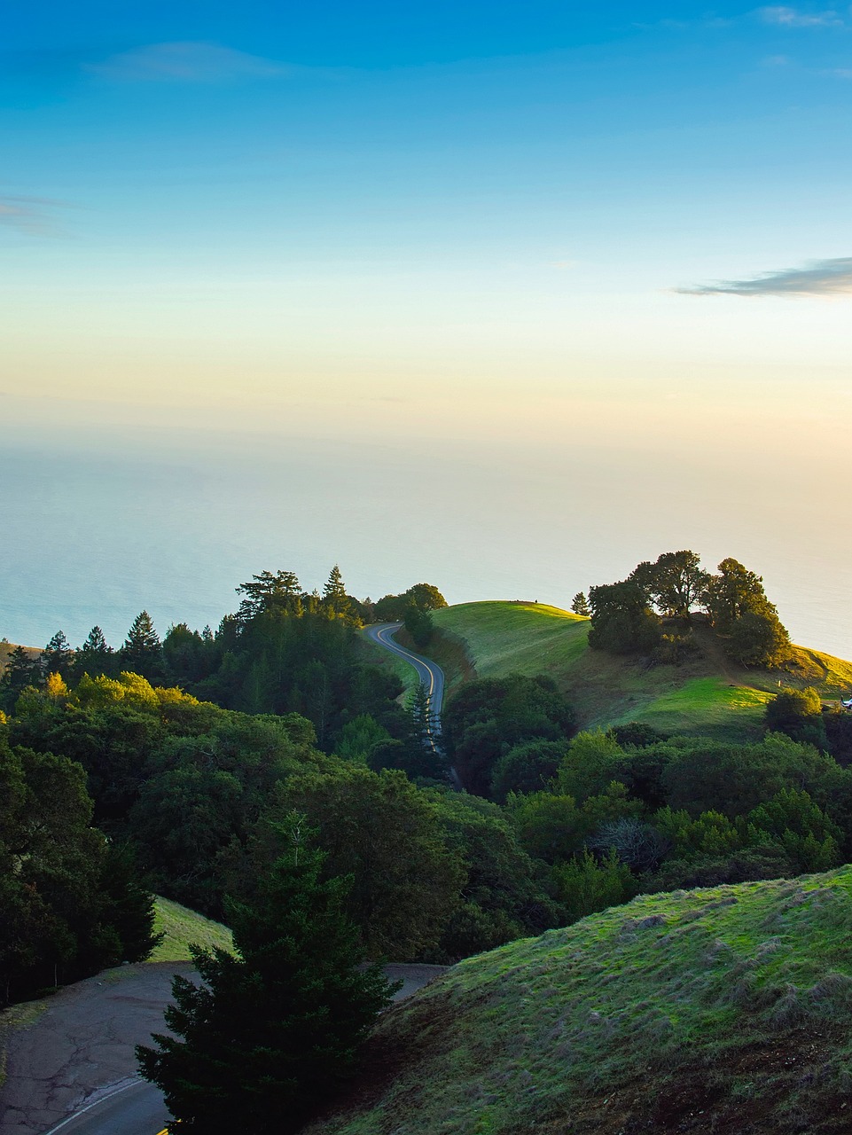 Fullerton, CA Buyer's Guide