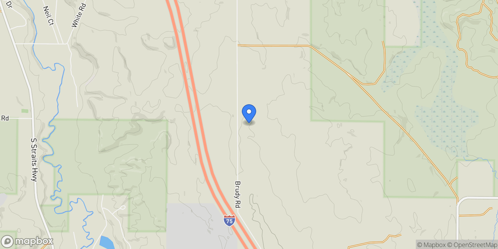 Map showing 9075 Brudy Road, Wolverine, MI 49799, Indian River, Michigan, United States.