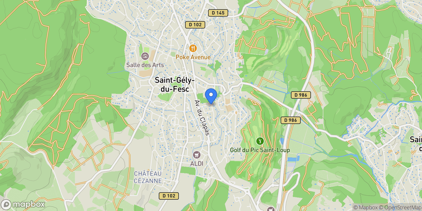 Map showing Saint-Gély-du-Fesc, Occitanie, France.