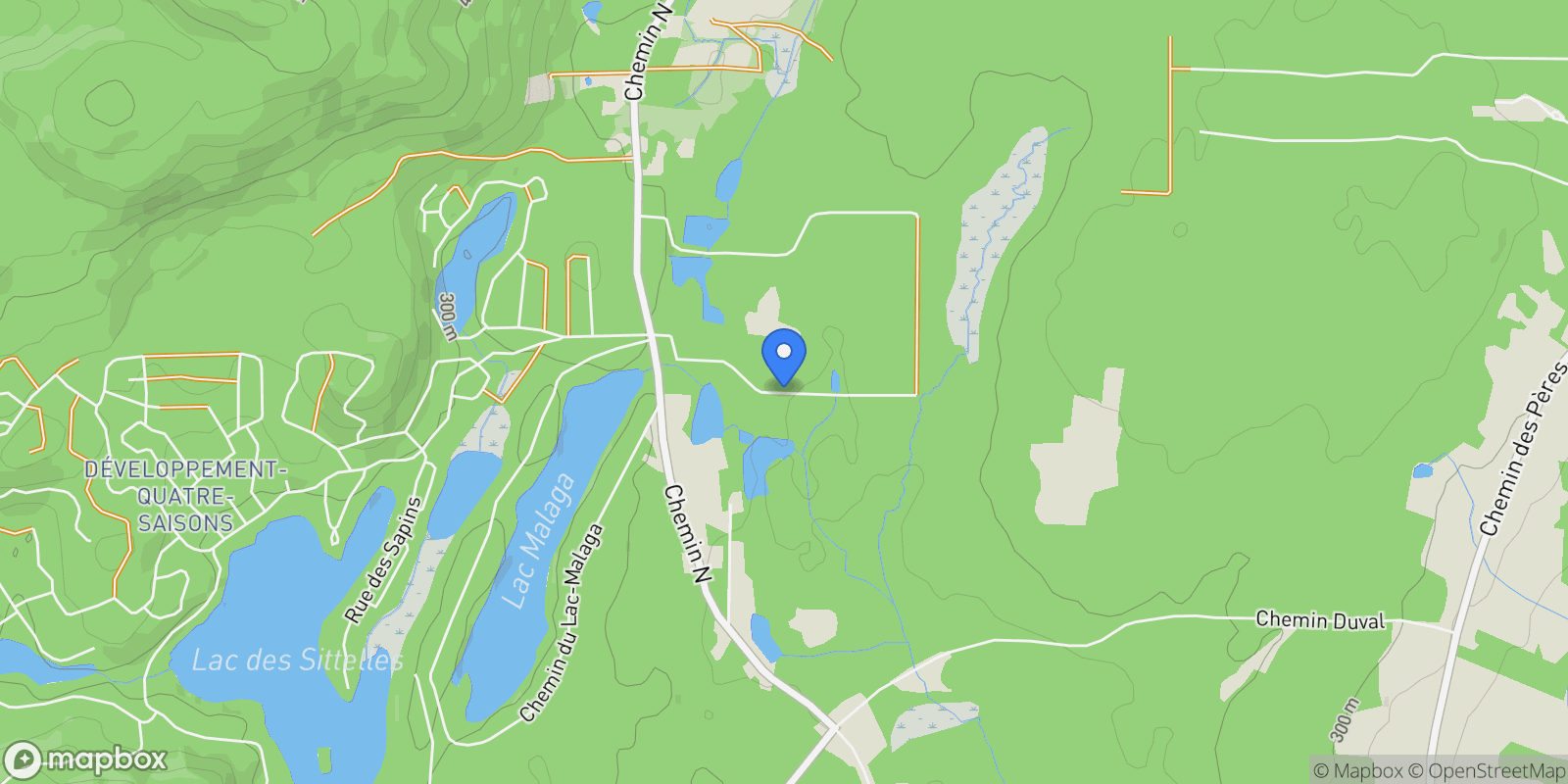 Map showing 260 Impasse de l'Ours, Austin, Quebec, Canada.