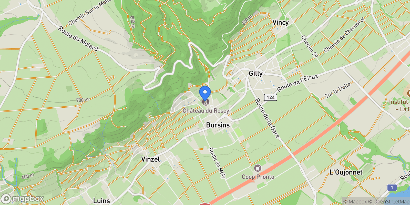 Map showing Bursins, Vaud, Switzerland.