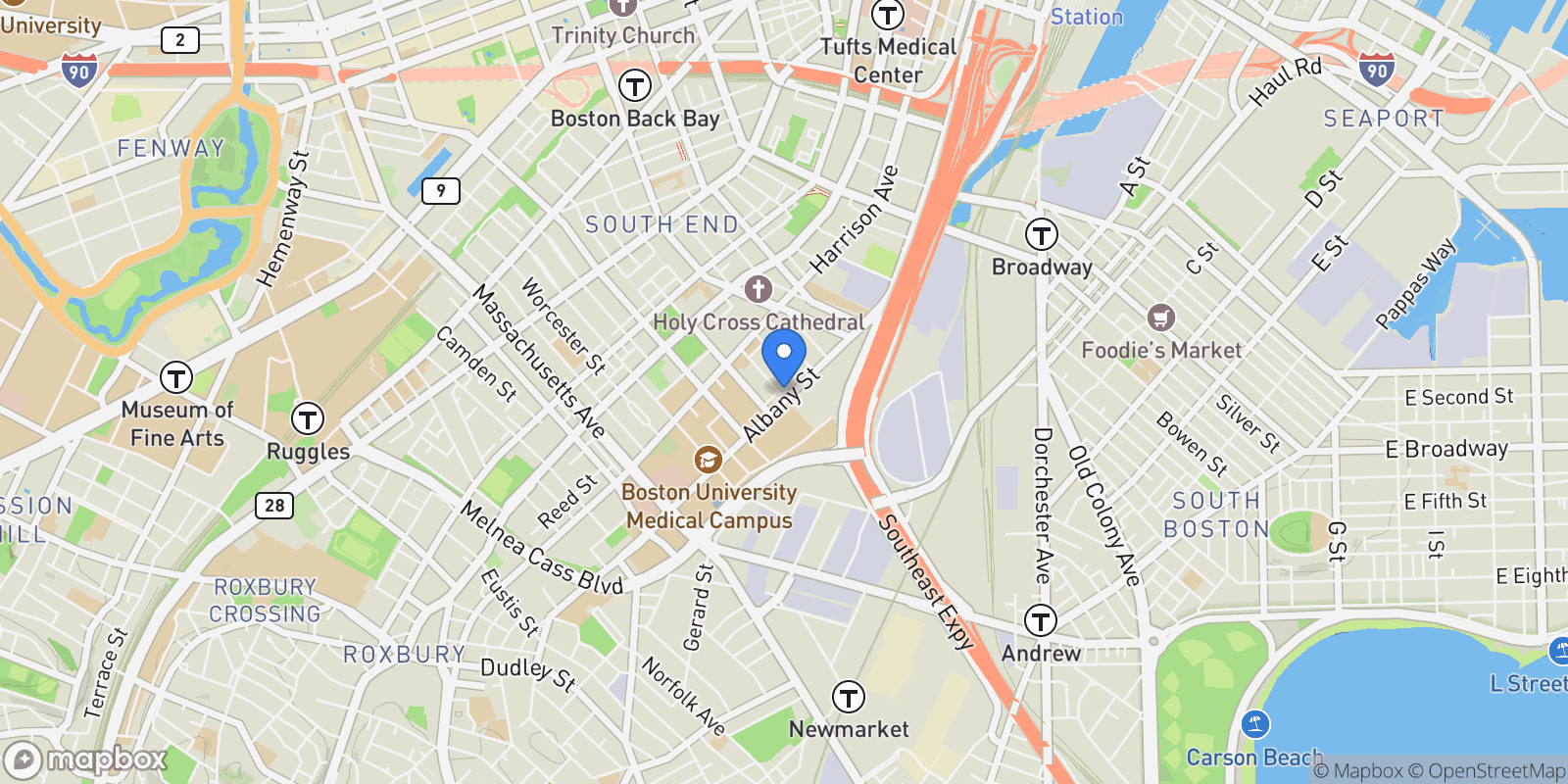 Map showing 595 Albany Street Unit PH, Boston, MA 02118, Boston, Massachusetts, United States.