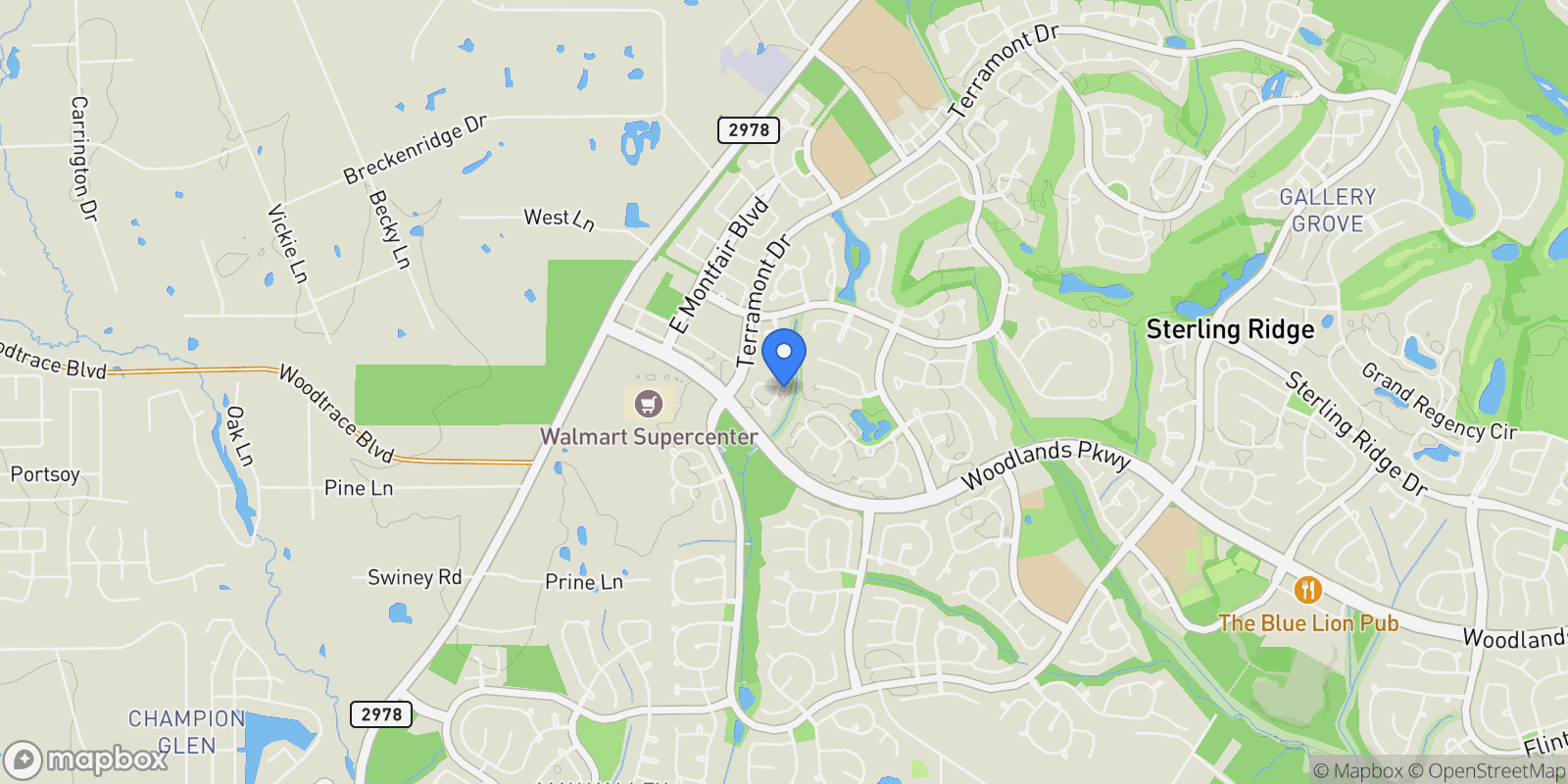 Map showing 86 Oriel Oaks Circle, The Woodlands, Texas, United States.