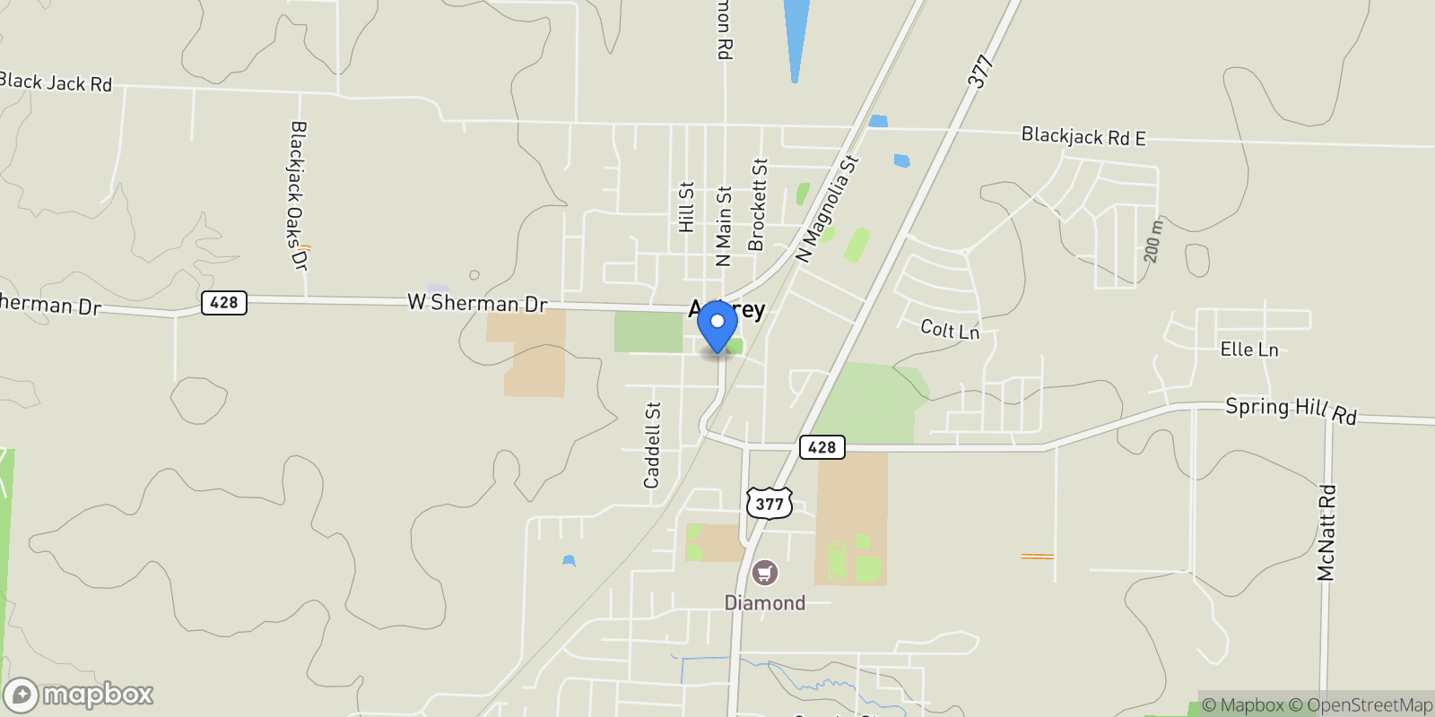 Map showing 101 Wild Plum Drive, Cross Roads, Texas, United States.