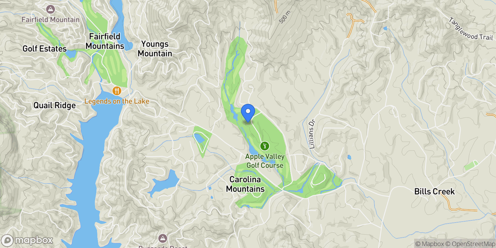 Map showing 156 Sheepnose Drive, Lake Lure, NC 28746, Lake Lure, North Carolina, United States.