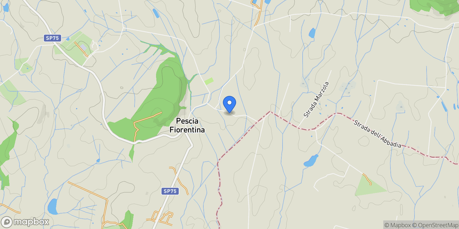 Map showing Strada dell'Abbadia, Pescia Fiorentina, Tuscany, Italy.