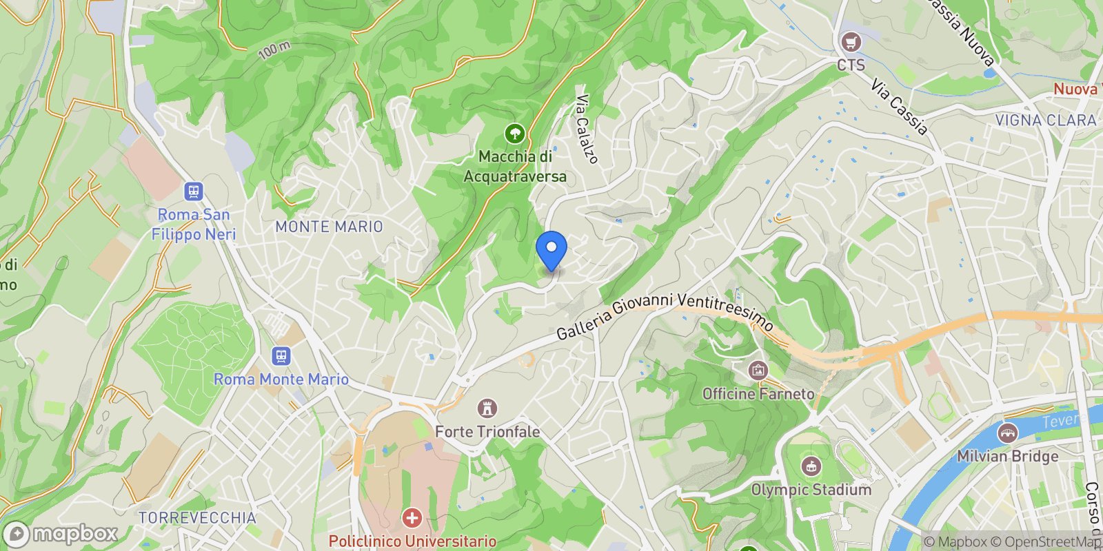 Map showing Viale Cortina D'Ampezzo, Rome, Lazio, Italy.