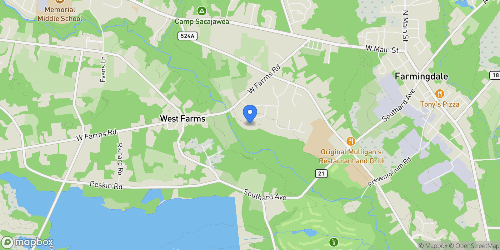 Map showing 11 Brian Court, Farmingdale, New Jersey, United States.