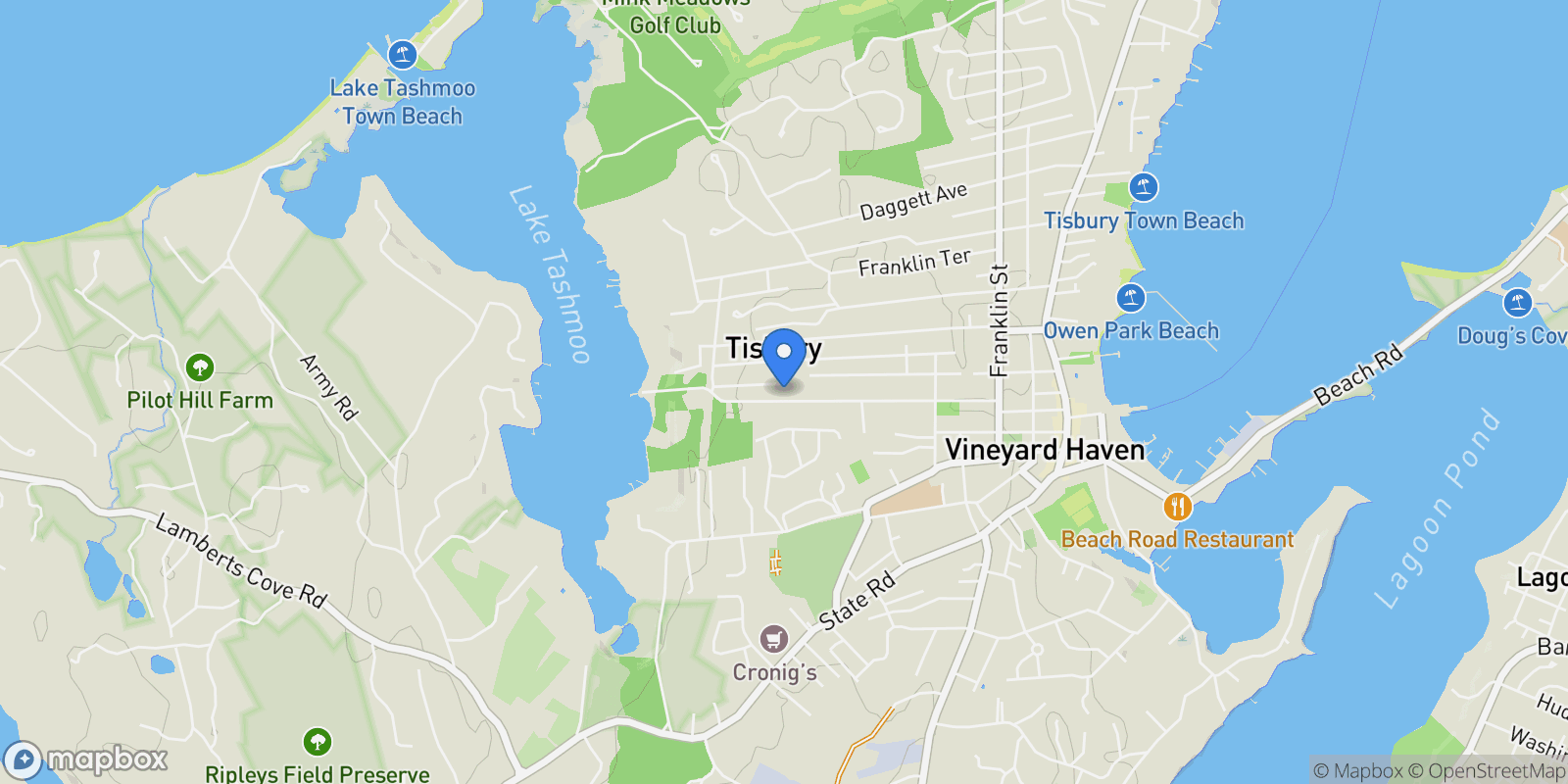 Map showing 159 Lake Street, Vineyard Haven, MA 02568, Oak Bluffs, Massachusetts, United States.