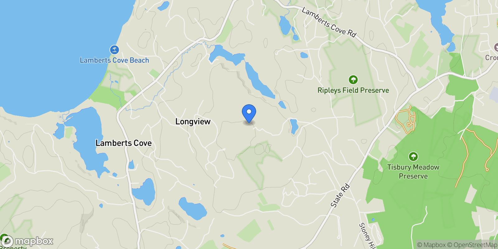 Map showing 157 Ben Chase Road, West Tisbury, MA 02575, Oak Bluffs, Massachusetts, United States.