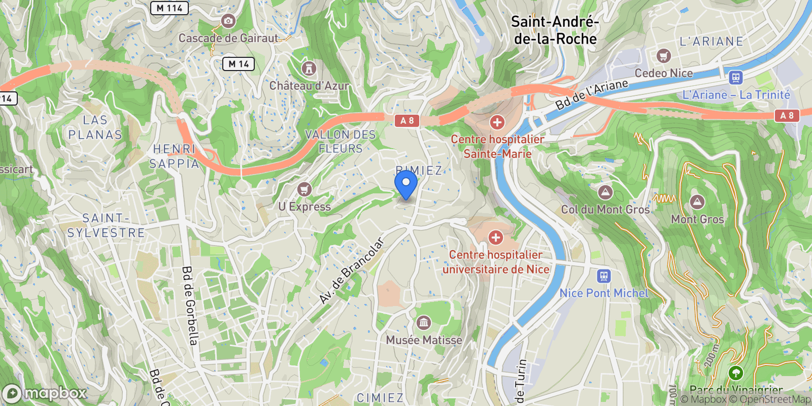 Map showing 8 Avenue Elisabeth, Nice, Provence-Alpes-Côte d'Azur, France.
