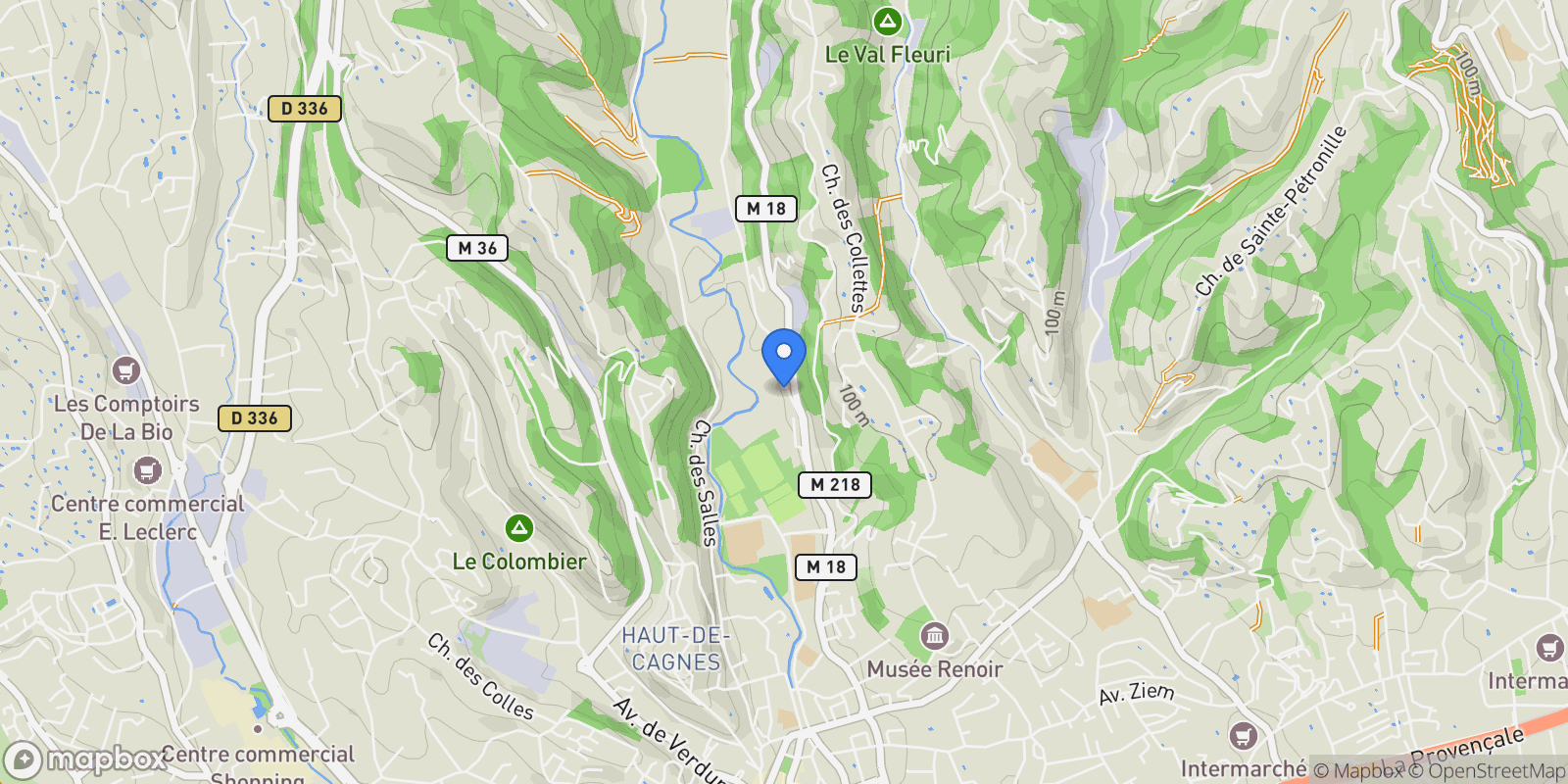 Map showing Cagnes-sur-Mer, Provence-Alpes-Côte d'Azur, France.