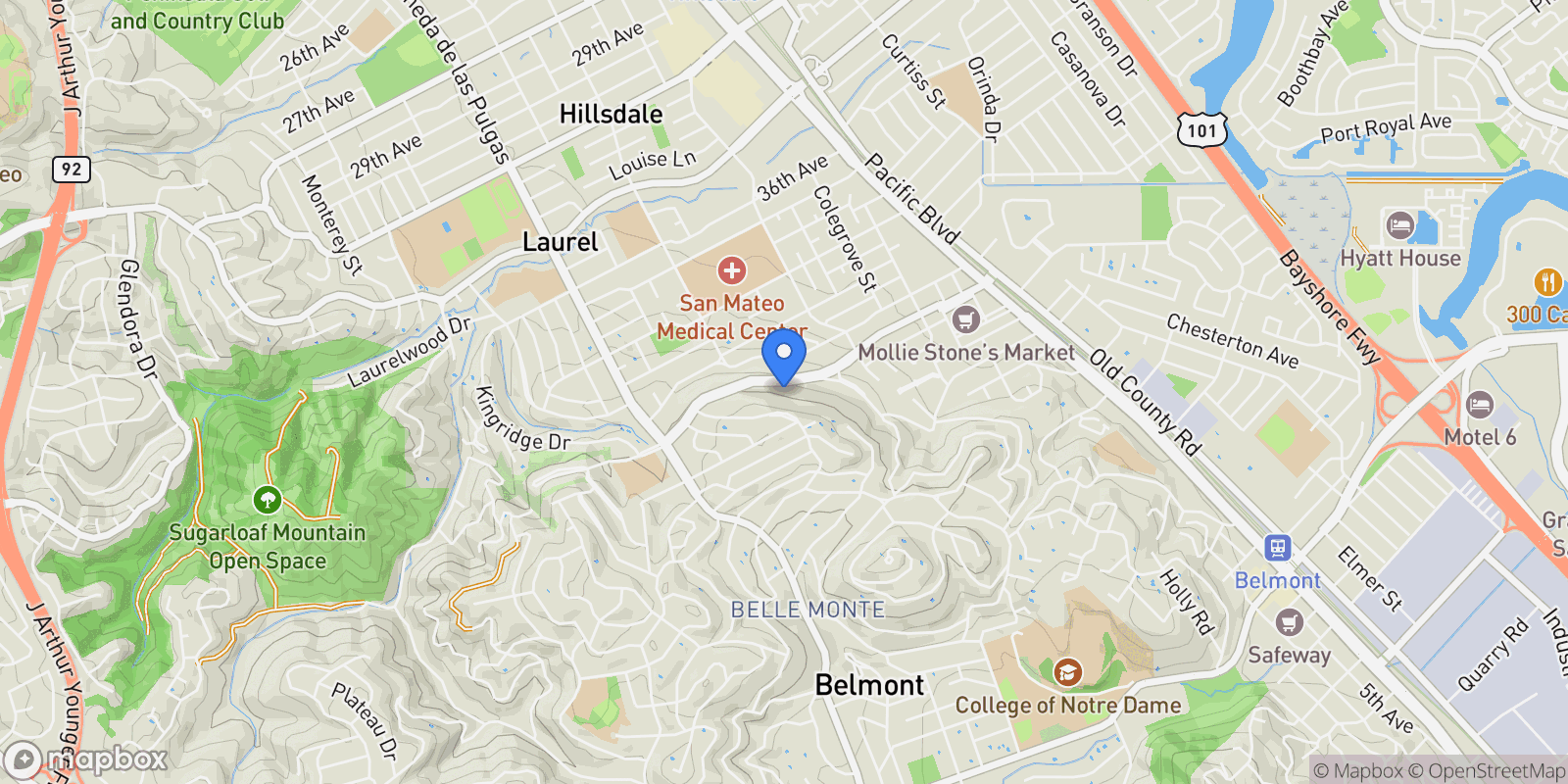 Map showing 241 42nd Avenue, San Mateo, California, United States.