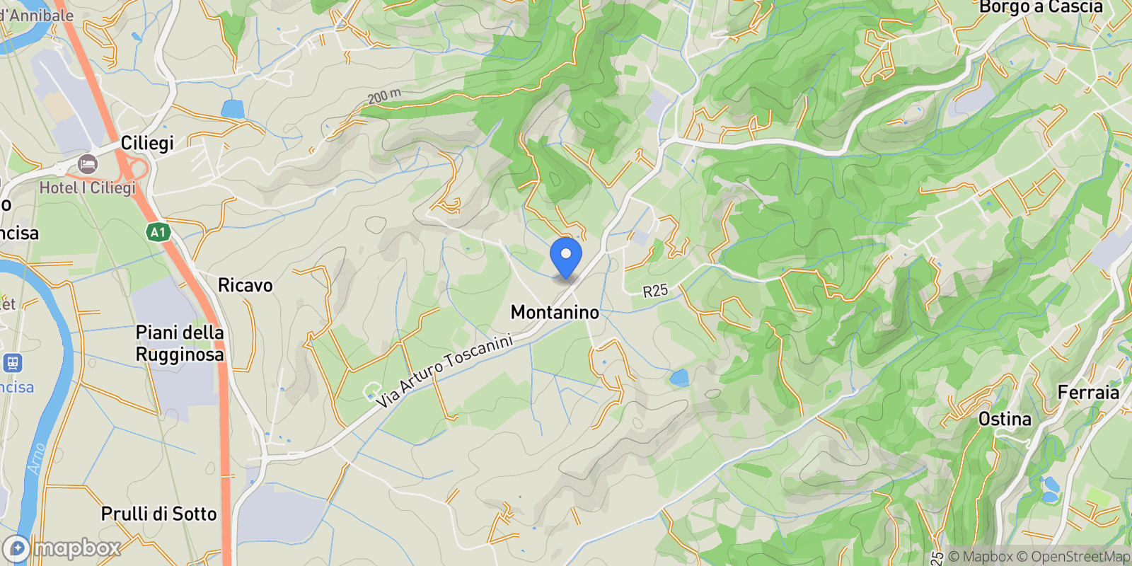 Map showing Montanino, Tuscany, Italy.