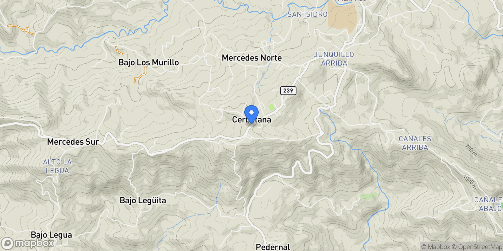 Map showing Puriscal, 239, San José Province, Costa Rica.