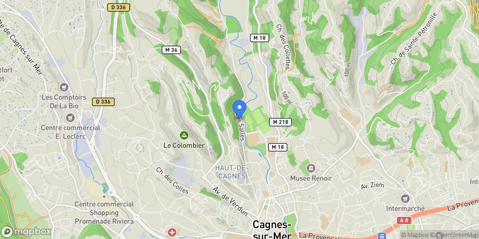 Map showing Cagnes-sur-Mer, Provence-Alpes-Côte d'Azur, France.