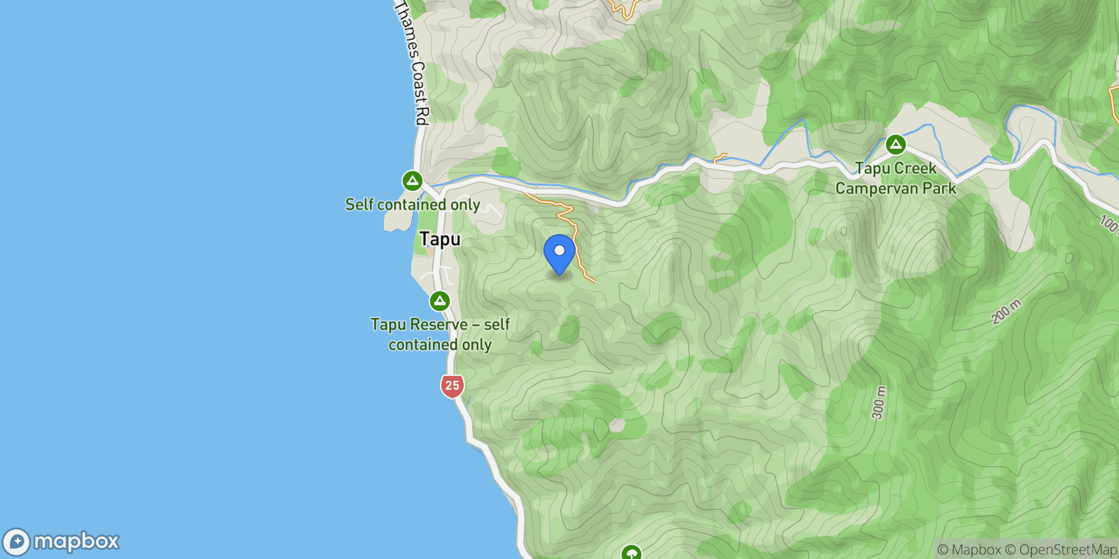 Map showing 98 Tapu Rise Heights, Tapu, Coromandel, WKO 3575, Tapu, Waikato, New Zealand.