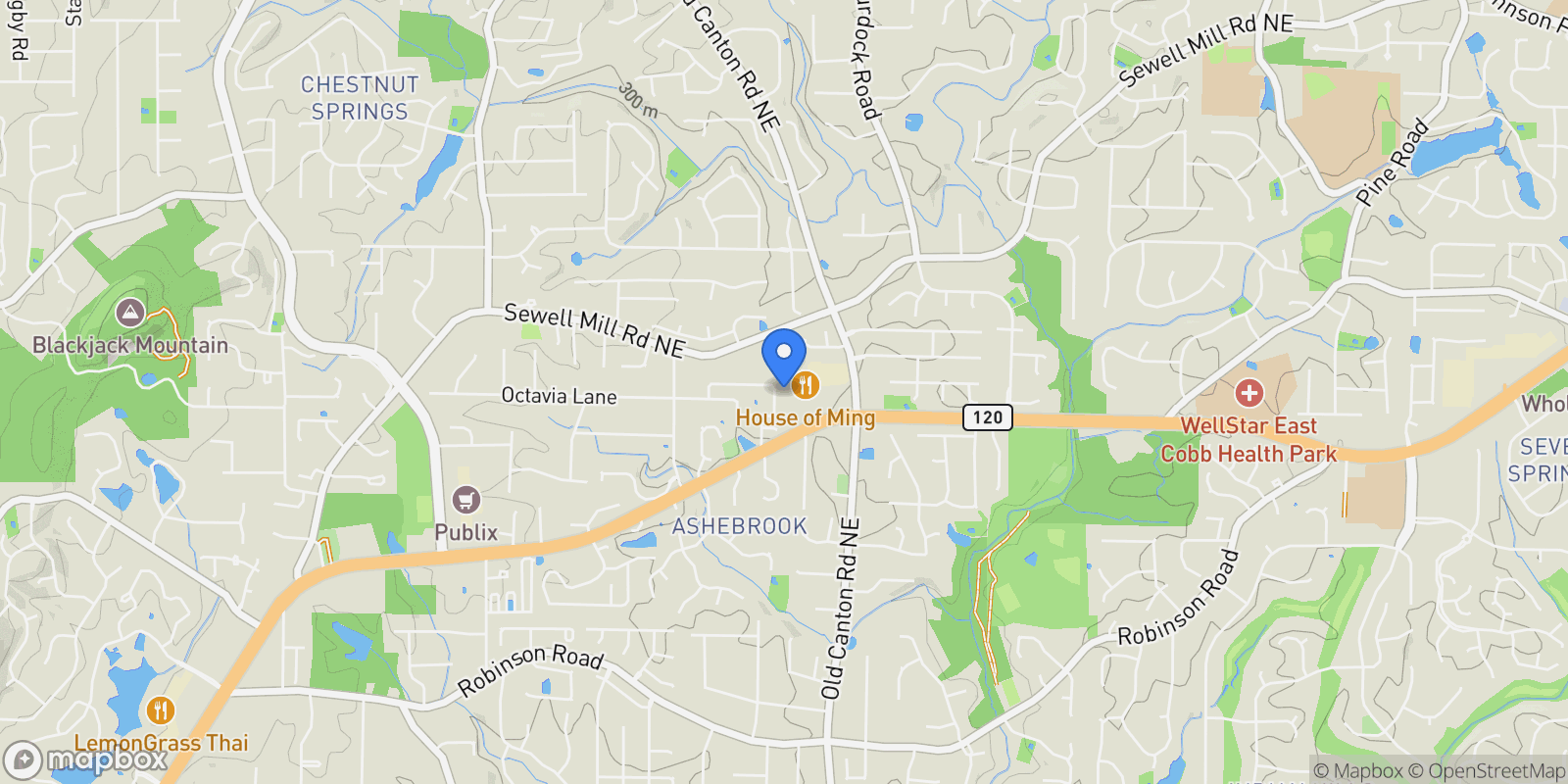 Map showing 2994 Octavia Circle, Marietta, Georgia, United States.