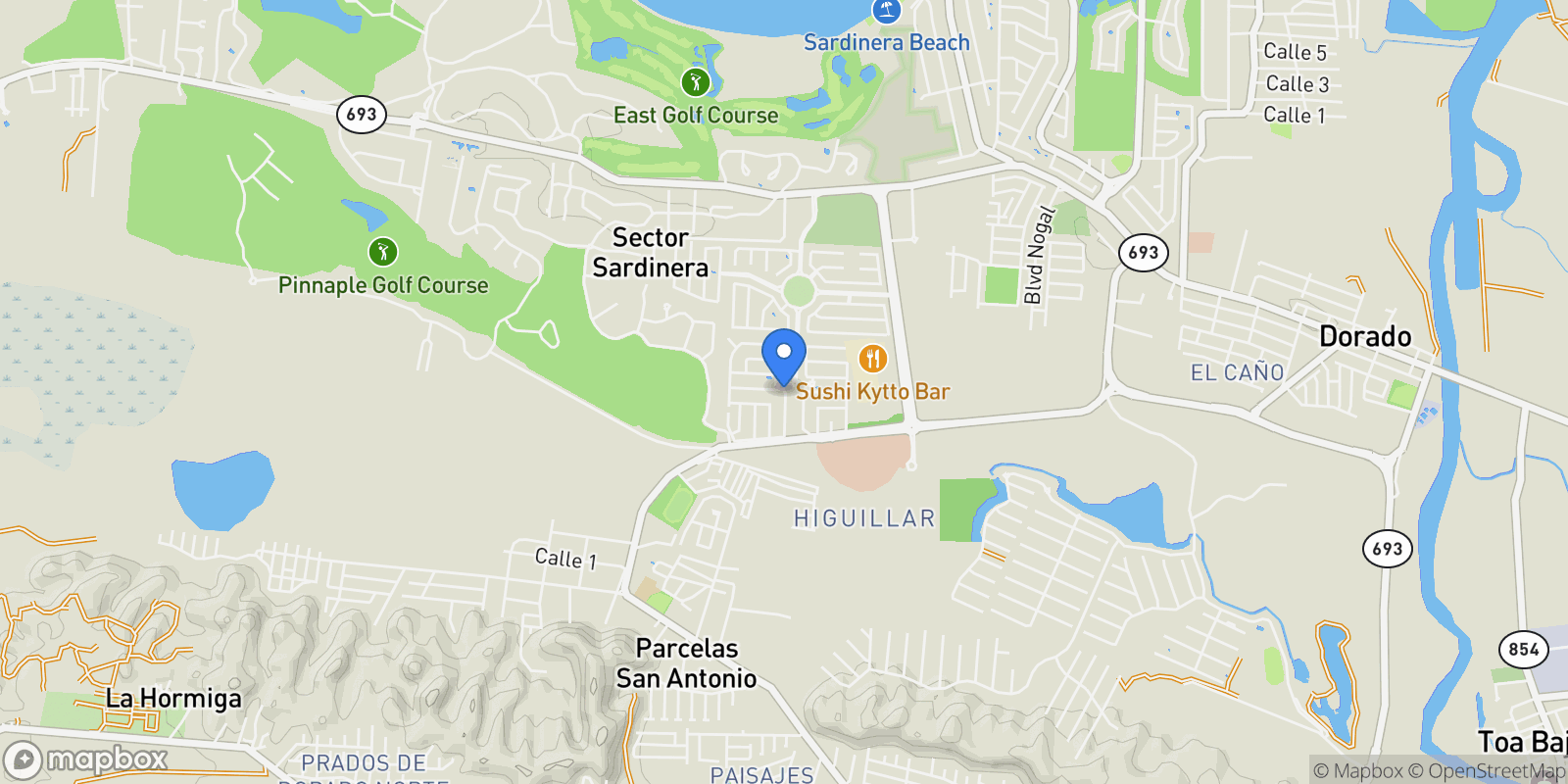 Map showing Dorado CALLE MAR INDICO 605, Dorado, Dorado, Puerto Rico.