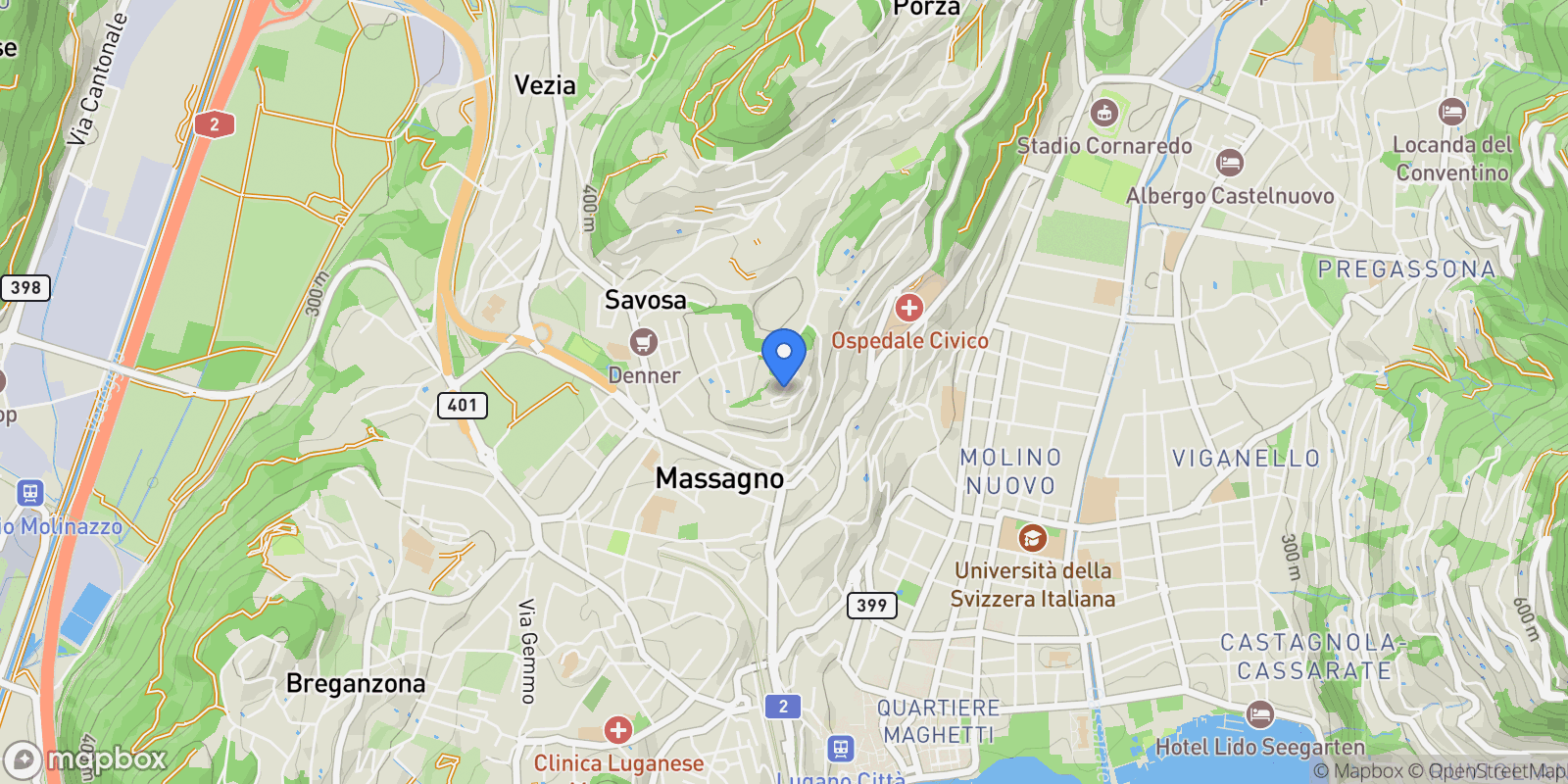 Map showing Via al roccolo, Massagno, Ticino, Switzerland.