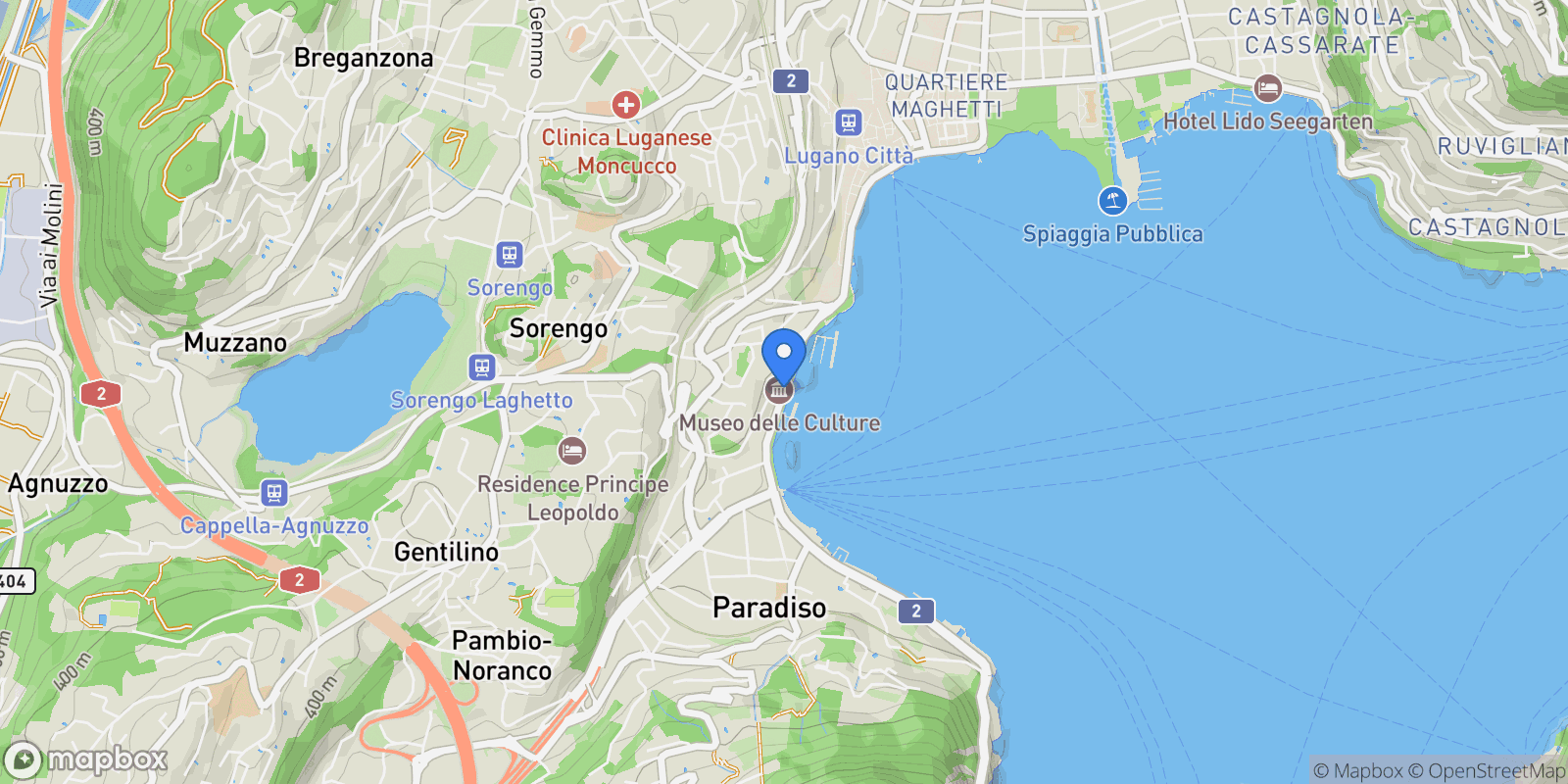 Map showing Via Riva Antonio Caccia, Lugano, Ticino, Switzerland.