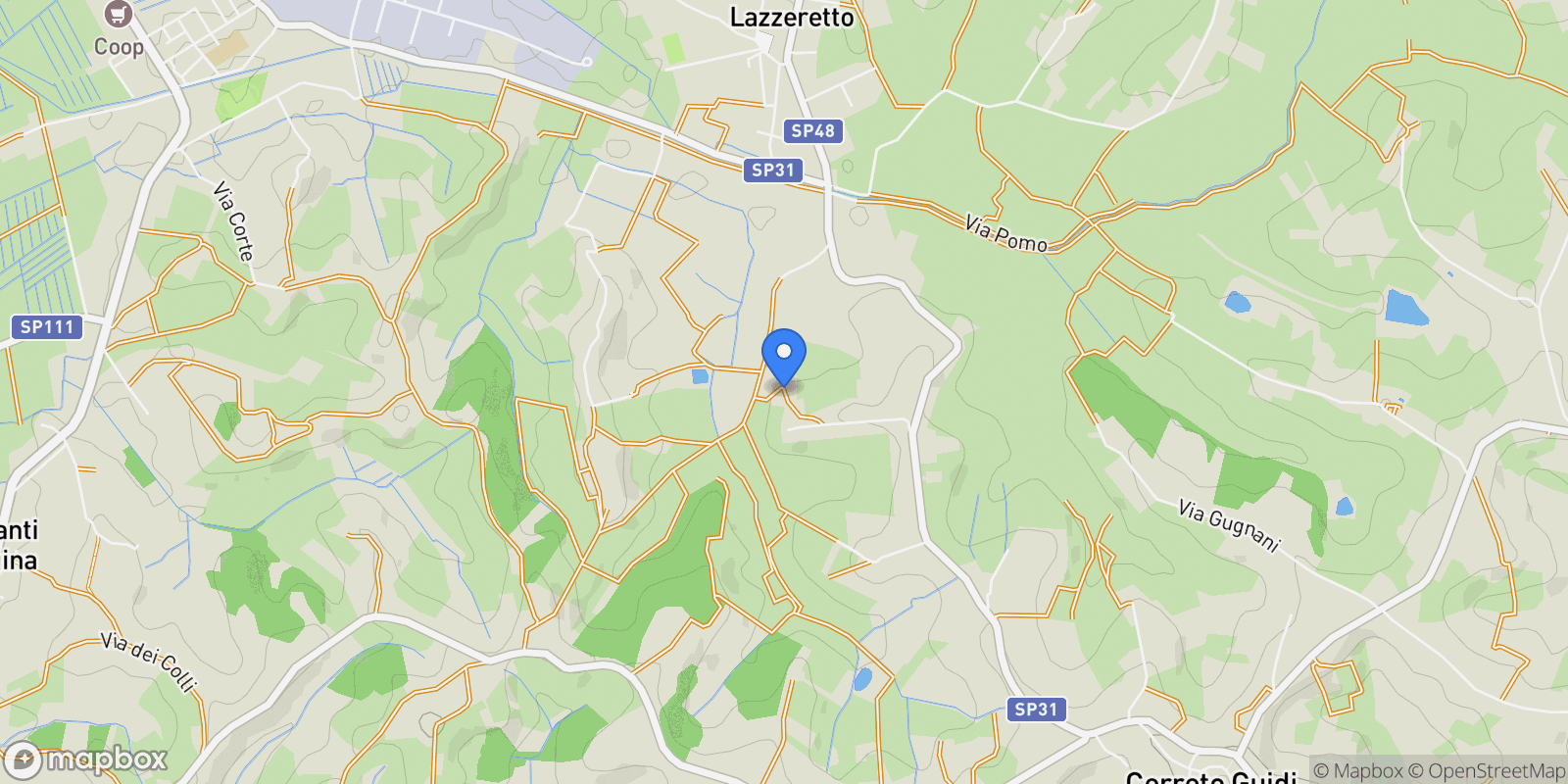 Map showing Via Mostagnana, 24, Mostagnana, Tuscany, Italy.