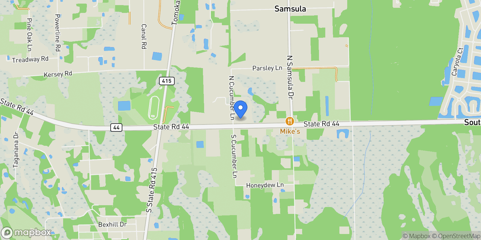 Map showing 123 N Cucumber Ln, New Smyrna Beach, FL 32168, New Smyrna Beach, Florida, United States.