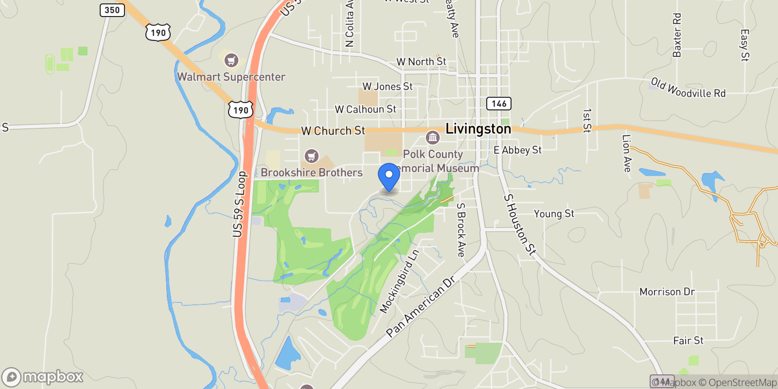 Map showing 827 Magnolia Street, Livingston, Texas, United States.