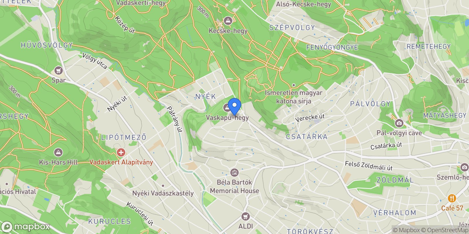 Map showing Nagybányai, Budapest, Hungary.