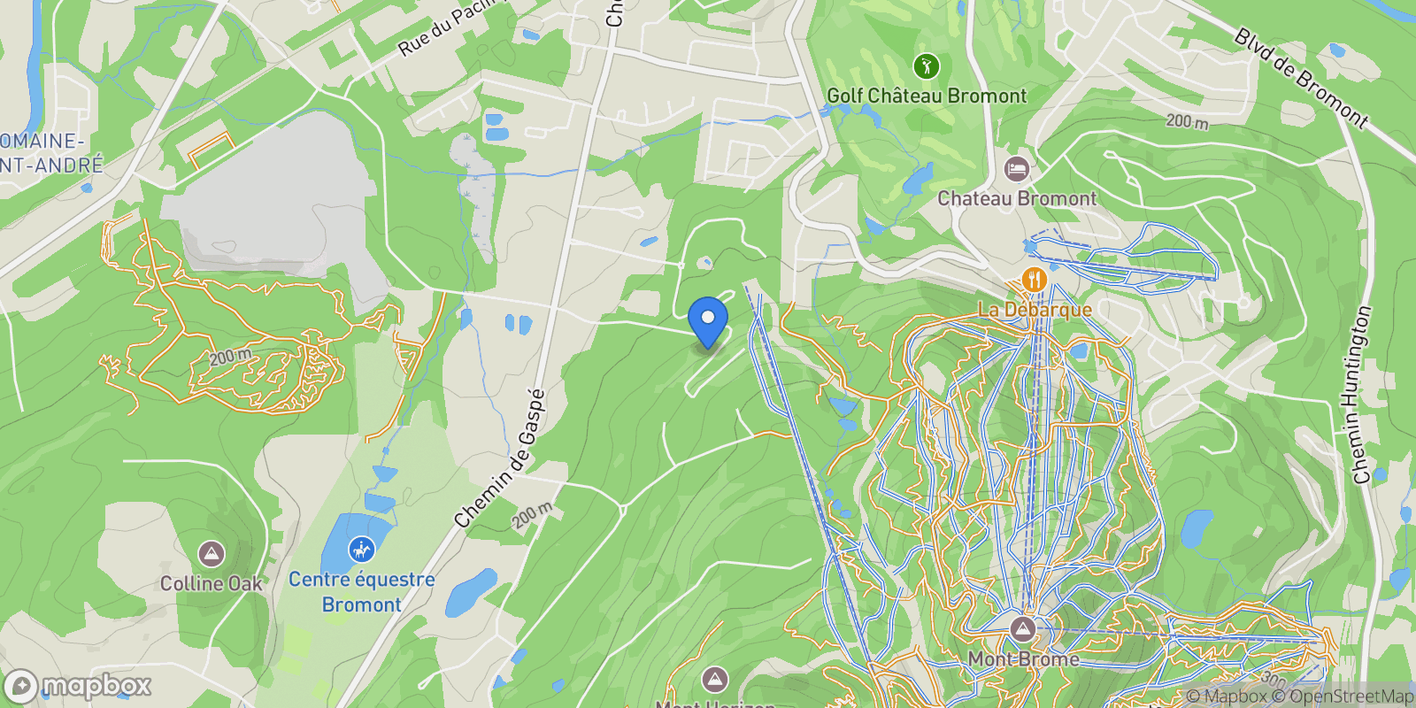 Map showing 220 Ch. des Diligences 201, Bromont, Quebec, Canada.