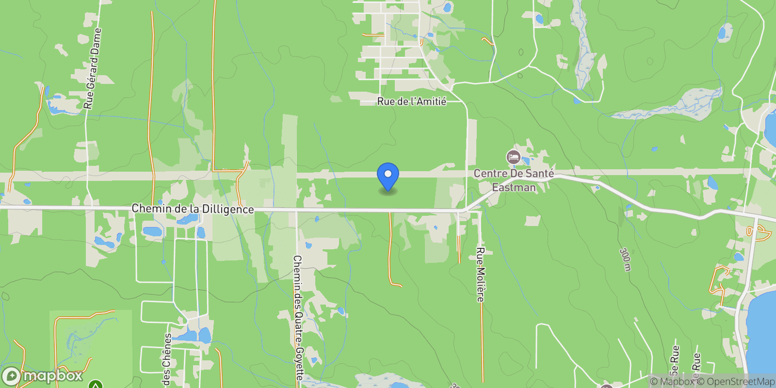 Map showing 805 Ch. des Diligences, Eastman, Quebec, Canada.