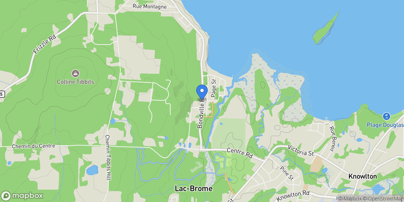 Map showing 136 Ch. Priest, Lac-Brome, Quebec, Canada.