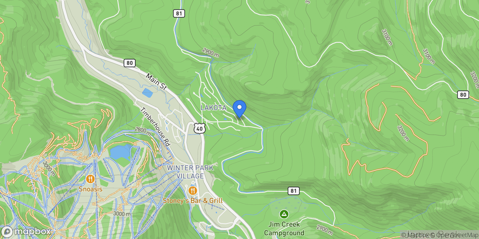 Map showing 313 North Woods Place, Winter Park, CO 80482, Winter Park, Colorado, United States.