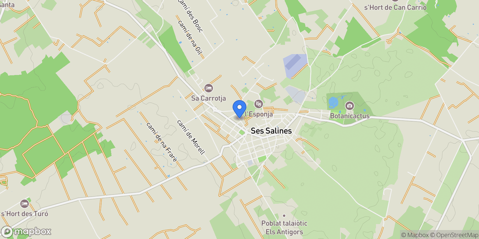 Map showing Ses Salines (Mallorca), Ses Salines, BALEARES, Ses Salines, ses Salines, Balearic Islands, Spain.